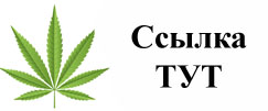 Купить наркотики в Казани